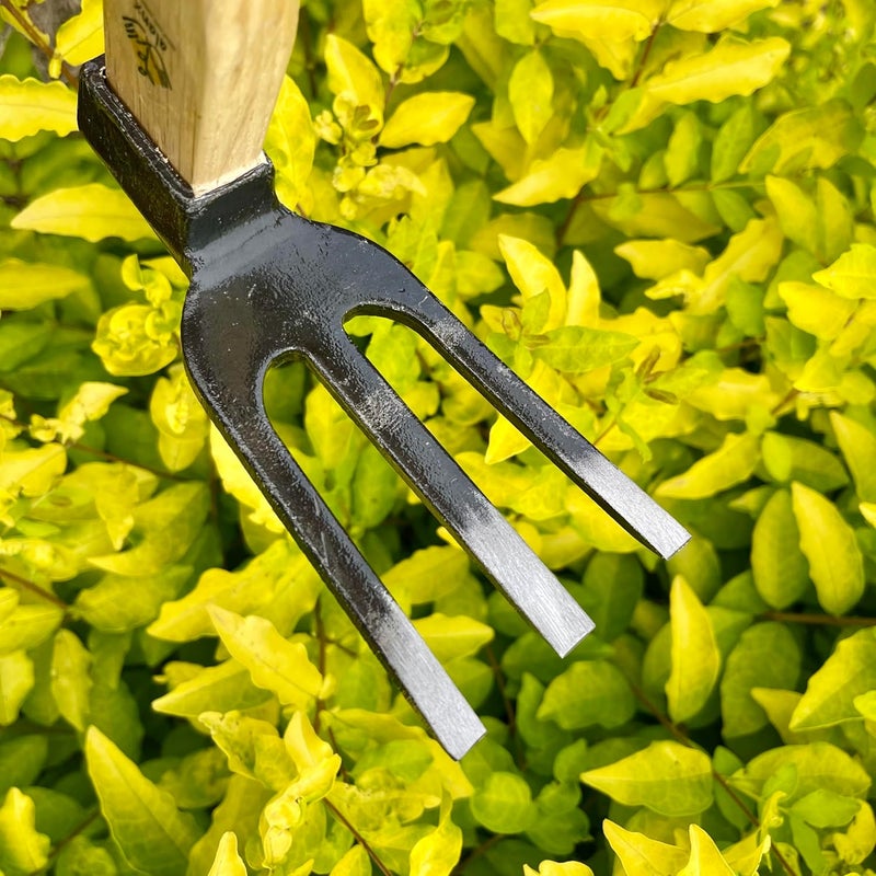 ALANX 14 inch Japanese Hand Tiller/Rake for Garden, 3-tines Cultivator, Without Welding, Oak Handle, for Digging, Soil Preparation, Chopping Through Roots and Hard Soil and Other Gardening tasks - Image 4